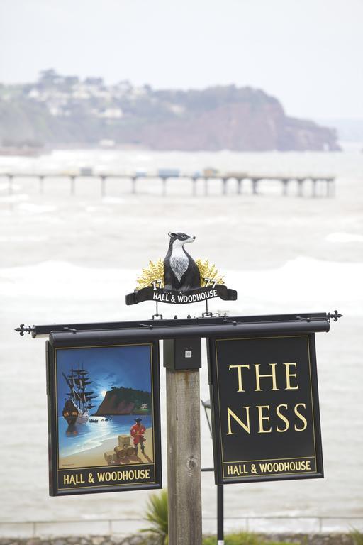 مبيت وإفطار تيغنماوث The Ness المظهر الخارجي الصورة
